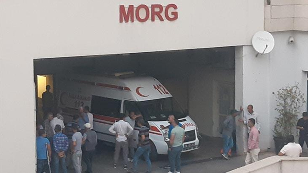 Üzüm toplarken olanlar oldu!