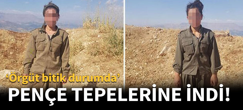 Pençe tepelerine indi