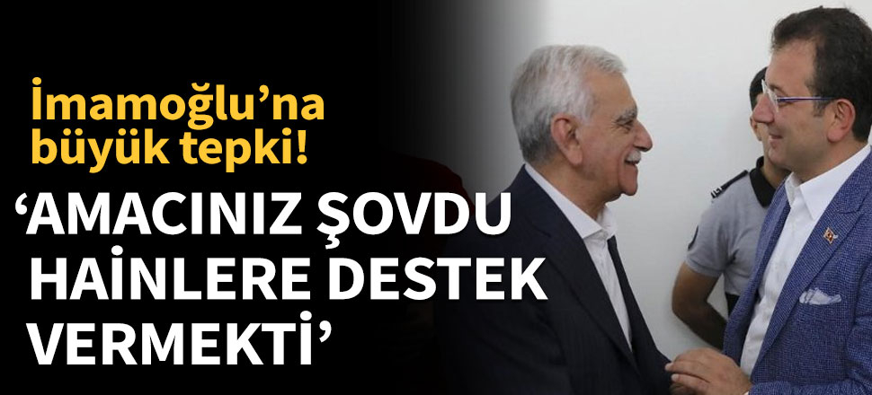 'Amacınız şovdu, hainlere destek vermekti'