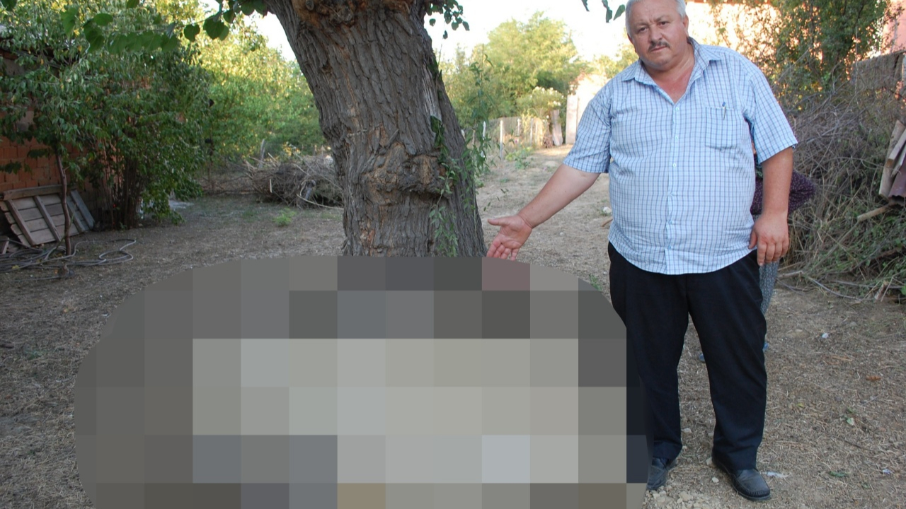 "500 kilo altın var" deniyordu! Bakın ne bulundu