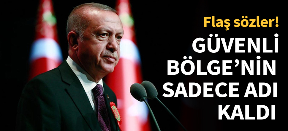 Erdoğan ve Babis'ten ortak açıklama...