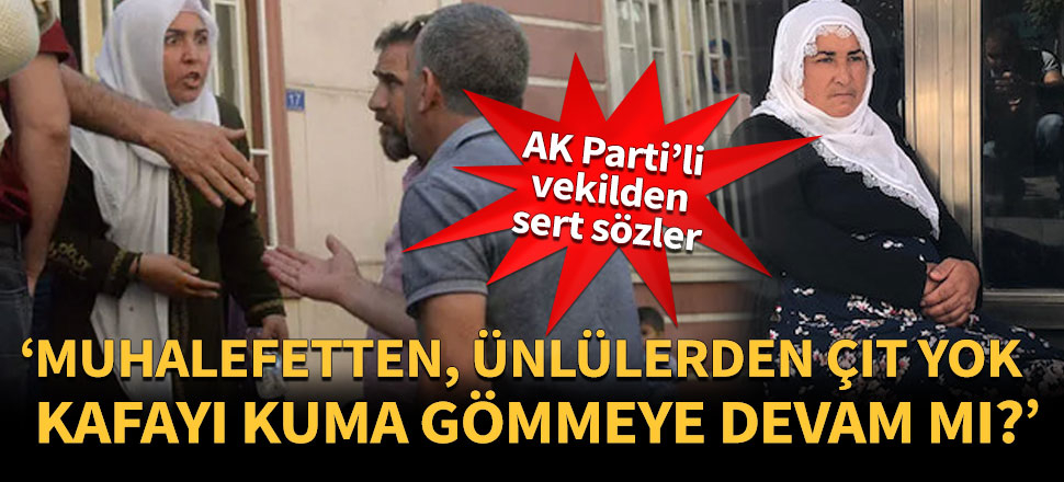 'Muhalefetten çıt yok, ünlülerden çıt yok'