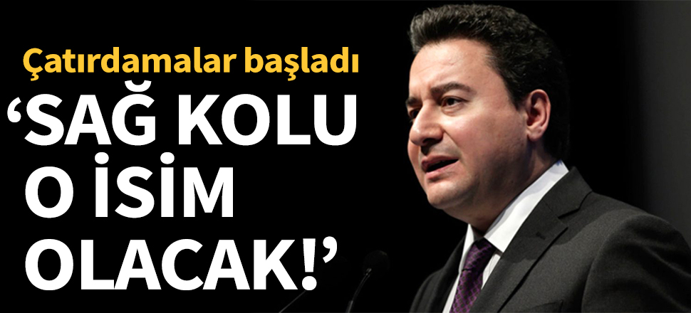 "Babacan'ın sağ kolu Birol Aydemir olacak!"