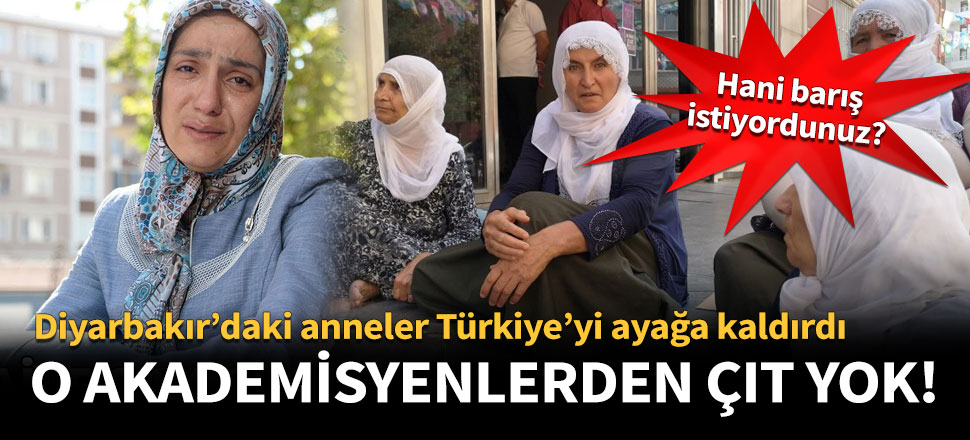 O akademisyenlerden çıt yok!