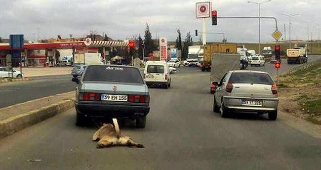 Köpeği arabaya bağlayıp metrelerce sürükledi!