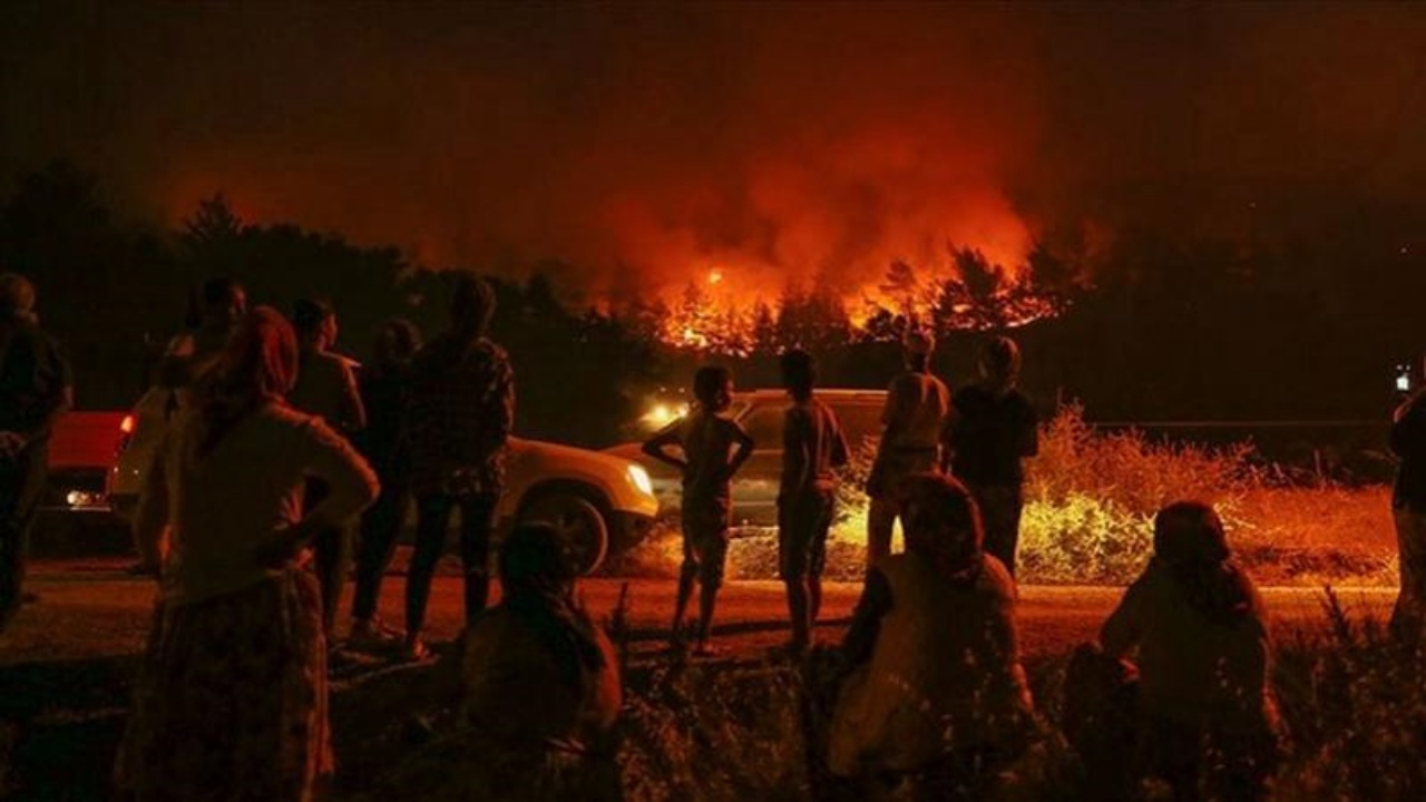 Ormanları yakan PKK'ya sessiz kaldılar!