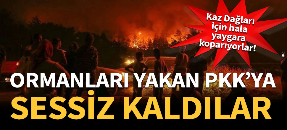 Ormanları yakan PKK'ya sessiz kaldılar!
