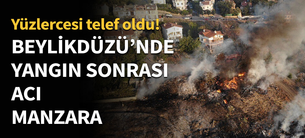 Beylikdüzü'nde acı manzara...