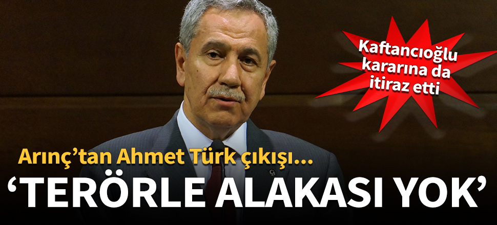 Bülent Arınç'tan, Ahmet Türk çıkışı!