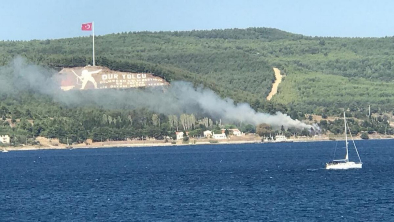 Bir orman yangını da Çanakkale'de!