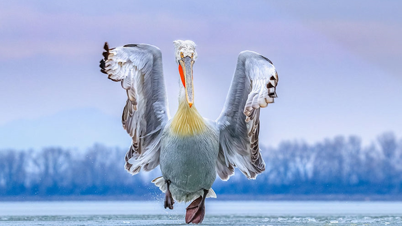 İşte özgürlüğün fotoğrafı!