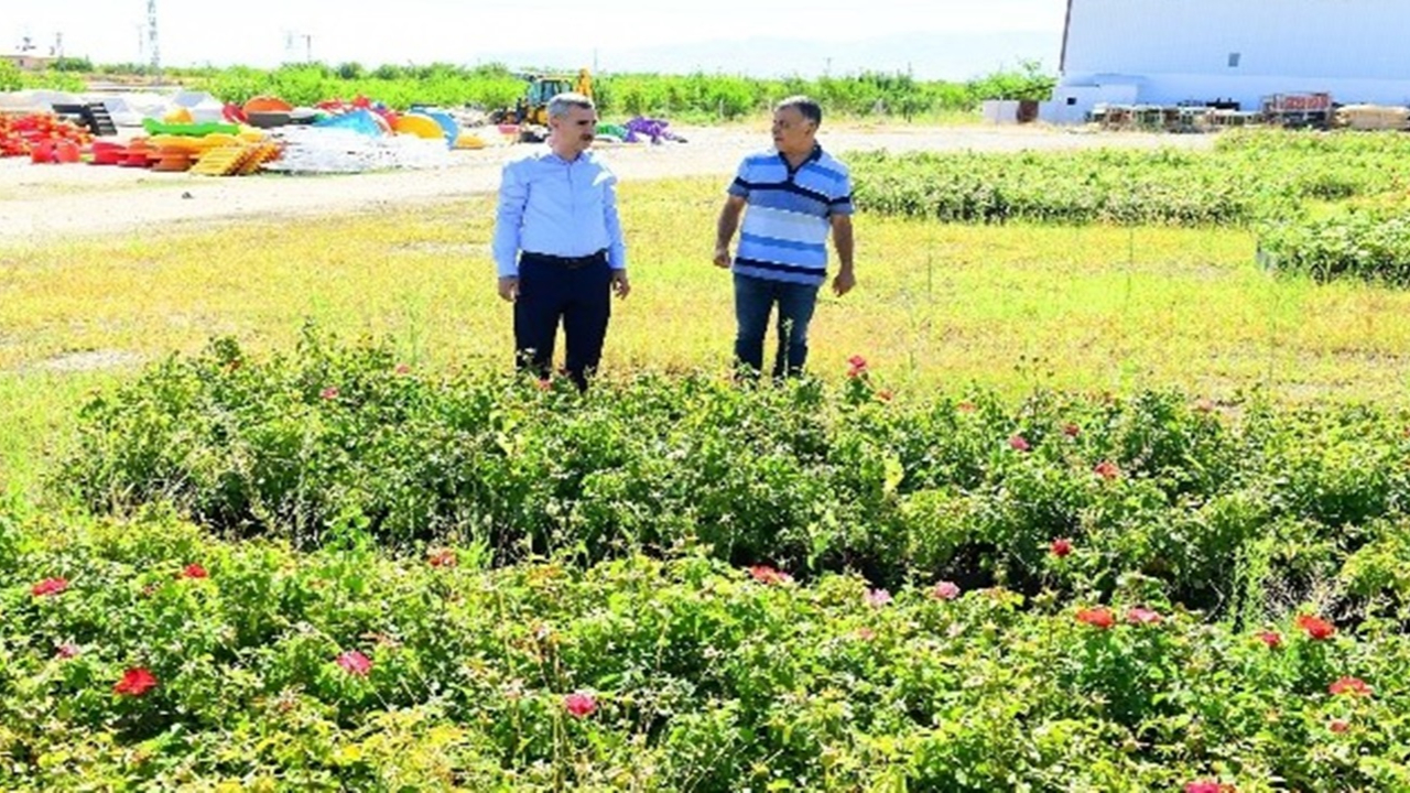 Malatya'da Başkan Mehmet Çınar, fidanlık alanında incelemelerde bulundu