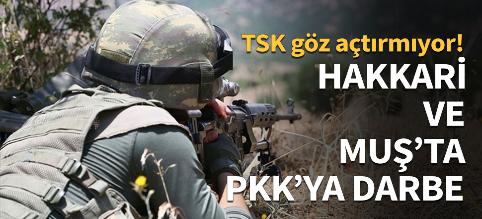 Hakkari ve Muş'ta PKK'ya darbe...