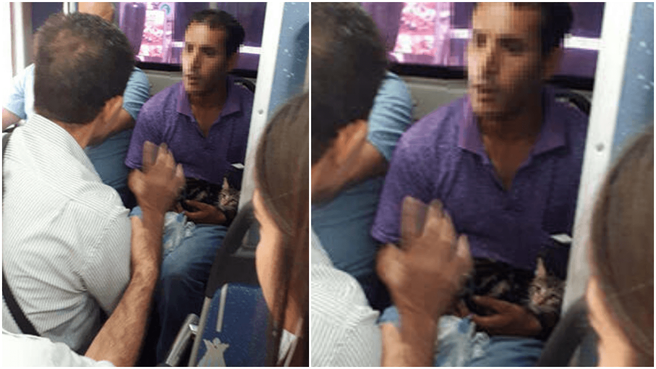 Antalya'da dehşete düşüren görüntü!