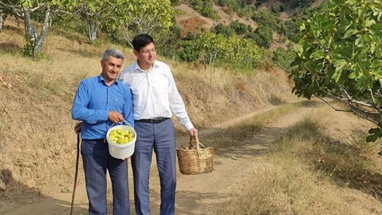 Aydın'da Başkan Kürşat Engin Özcan üreticiyle birlikte incir hasat etti