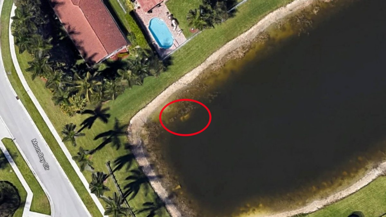 Cesedi 22 yıl sonra Google Earth'de bulundu!