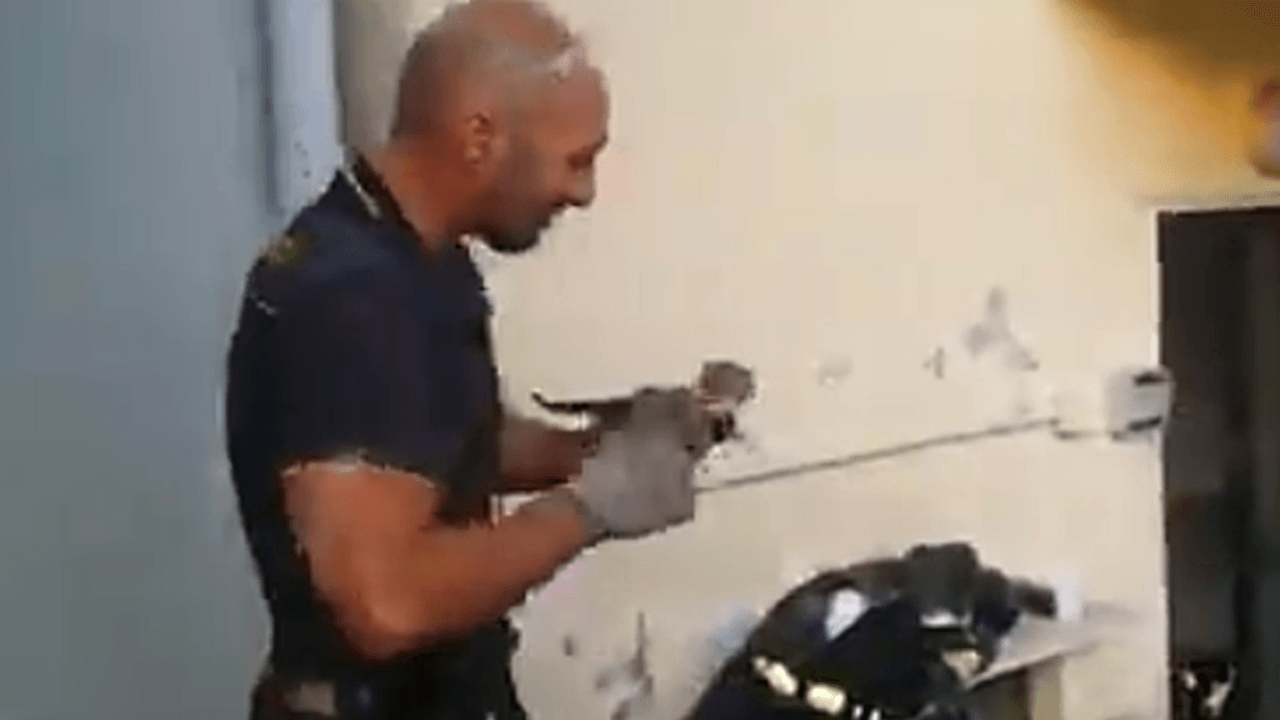 Kediyi kurtaran itfaiye memuru duygusal anlar yaşadı!