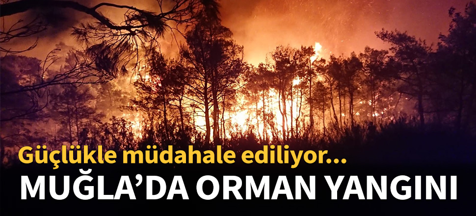 Muğla'da söndürülen yangın yeniden başladı...