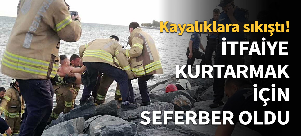 İtfaiye uzun uğraşlar sonucu kurtardı!