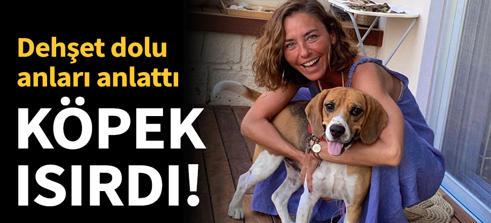 Arkadaşının köpeği tarafından ısırıldı!
