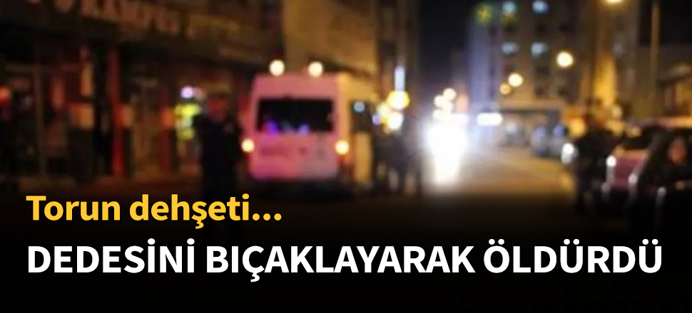 Dedesini bıçaklayarak öldürdü...