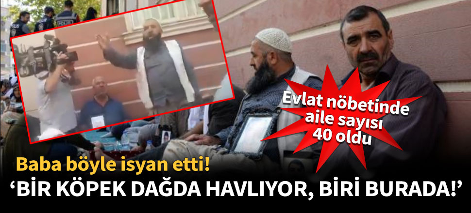 'Bir köpek dağda havlıyor, bir köpek burada havlıyor'