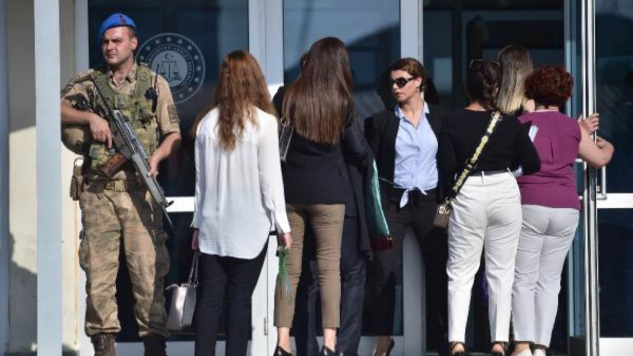 Dışarıda kalan kedicikler adliyede!