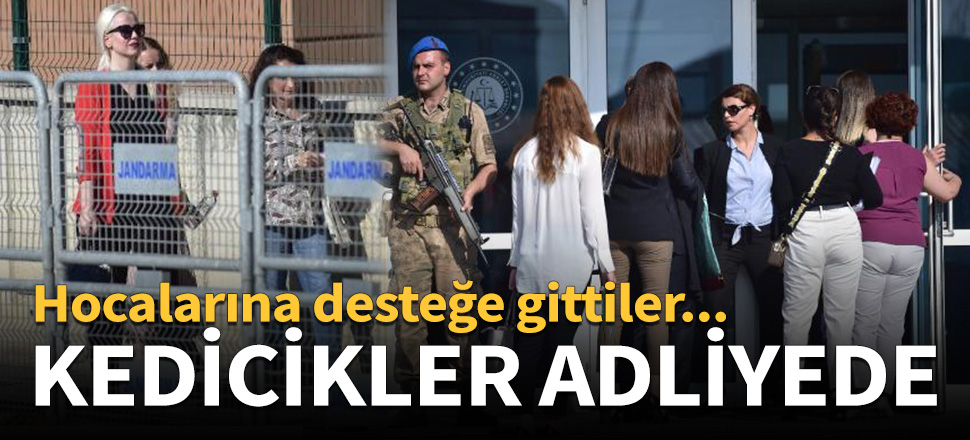 Dışarıda kalan kedicikler adliyede!