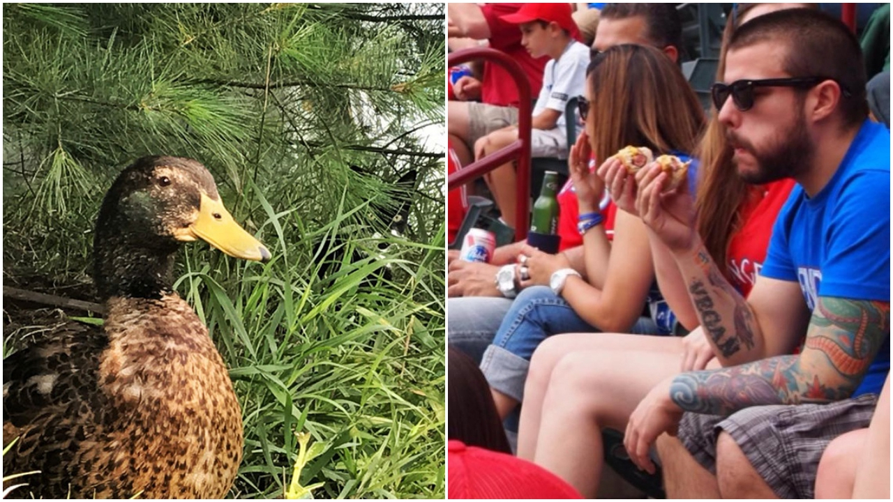 Dikkatli bakıldığına değişen fotoğraflar!