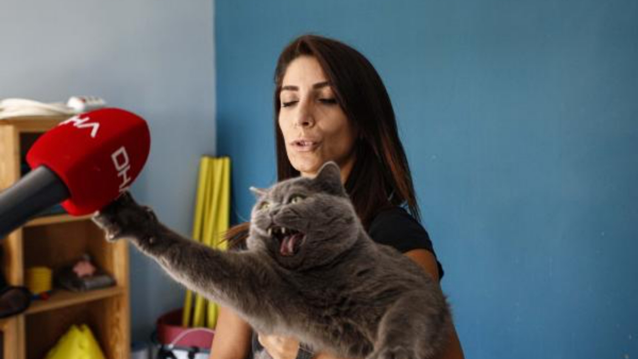 Obez kedi, egzersizle kilo verdi!