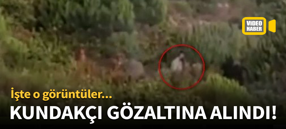 Pendik'teki ormanı kundaklayan kişi gözaltında!