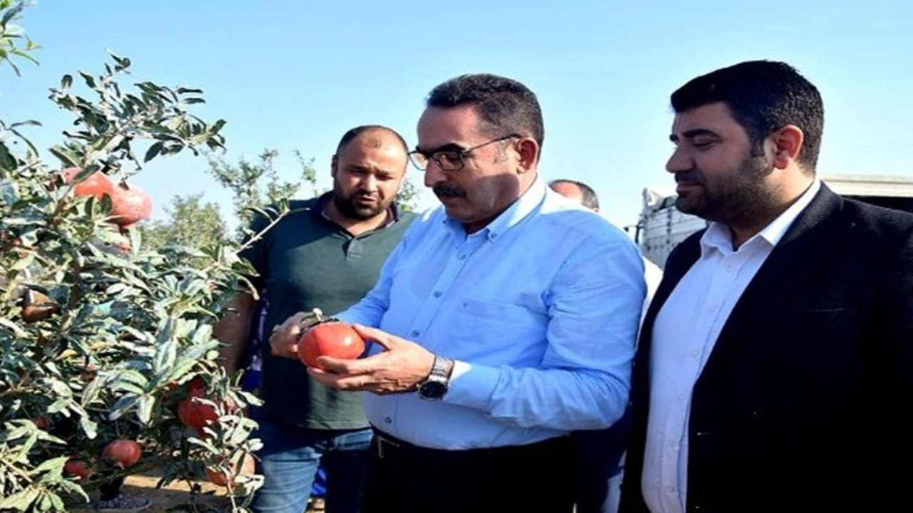 Adana'da AK Parti’li Abdullah Doğru: "Pamuk üreticisi primden memnun kalacak"