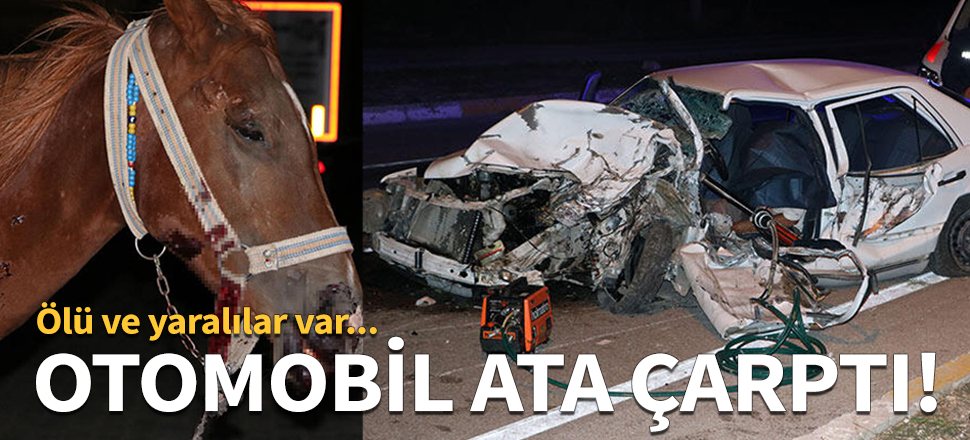 Otomobil ata çarptı!