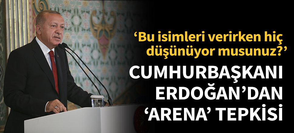 Cumhurbaşkanı Erdoğan'dan 'arena' tepkisi