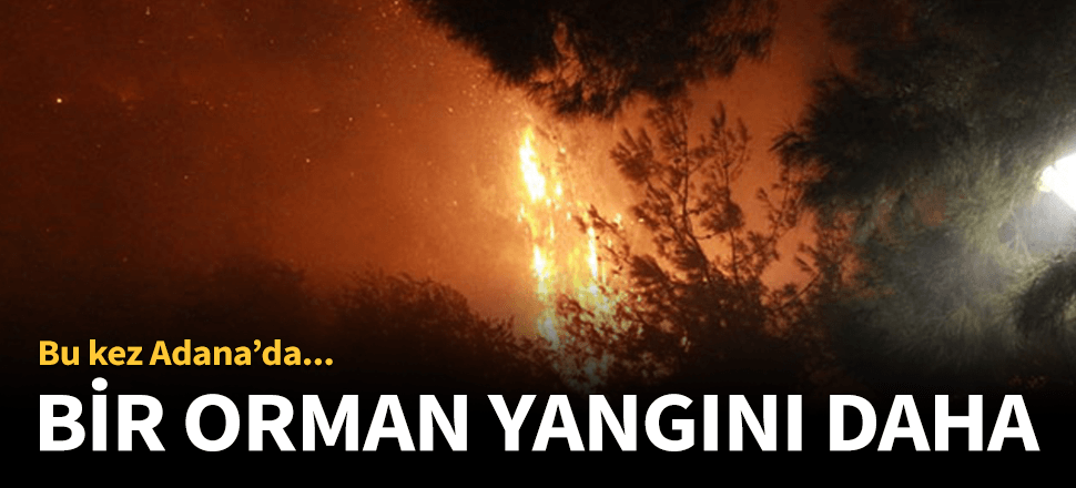 Adana'da ormanlık alanda korkutan yangın!