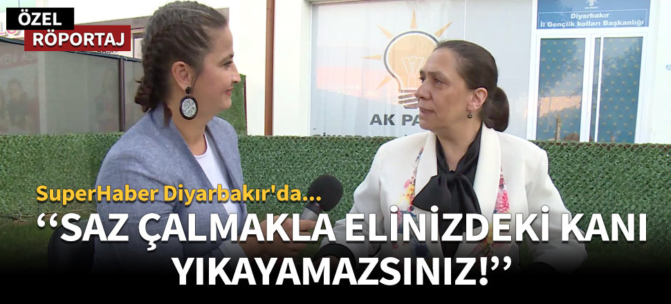 ''Saz çalmakla elinizdeki kanı yıkayamazsınız''