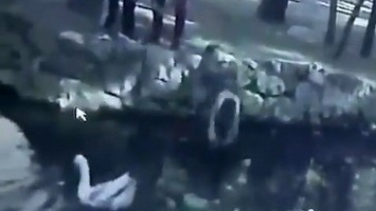 Kazlara yem verirken boğuluyordu!