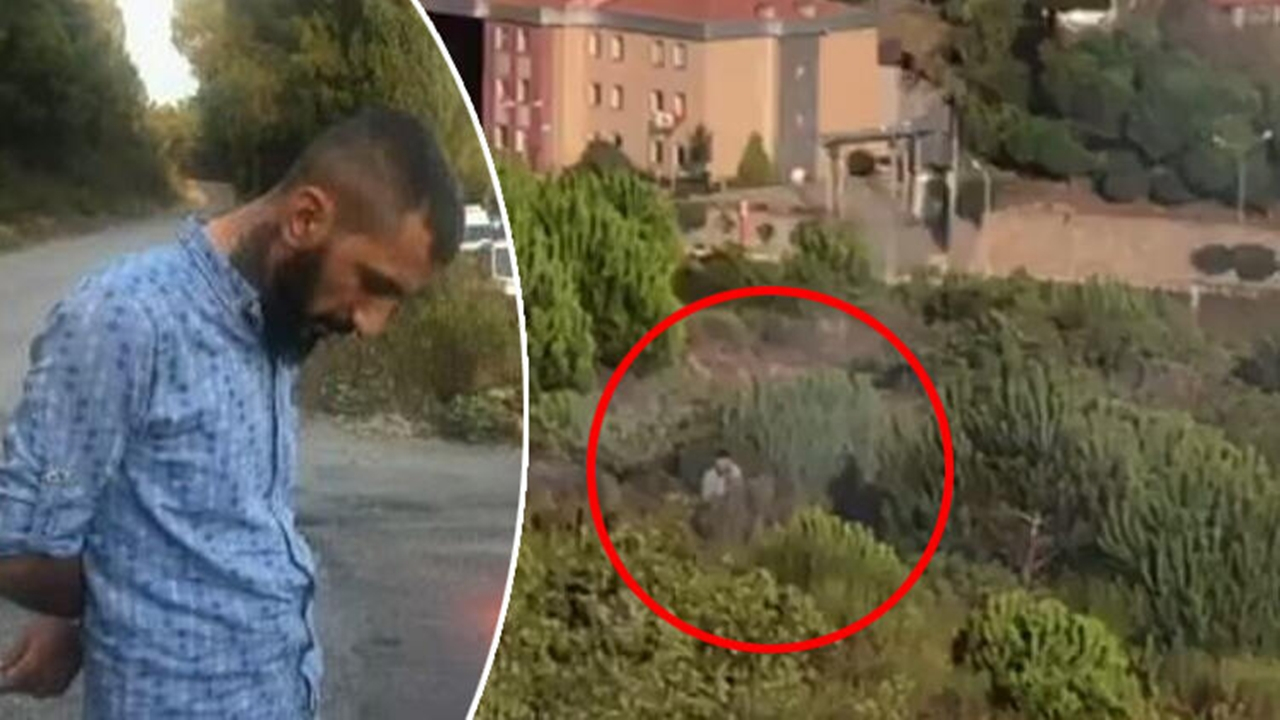 Pendik'te ormanı yakan kişi tutuklandı!