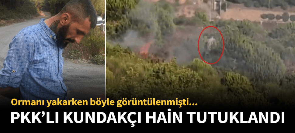 Pendik'te ormanı ateşe veren hain tutuklandı!
