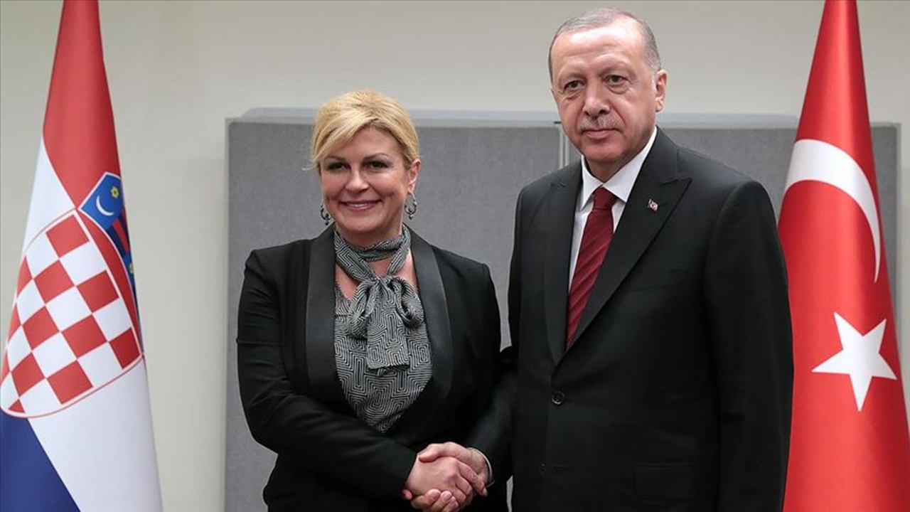 Cumhurbaşkanı Erdoğan, Kitaroviç ile görüştü...