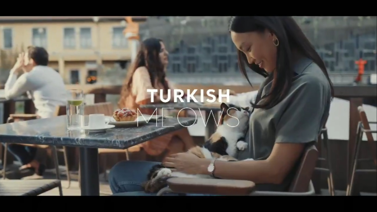 Dünya, Türkiye'yi "miyav" ile tanıyacak!
