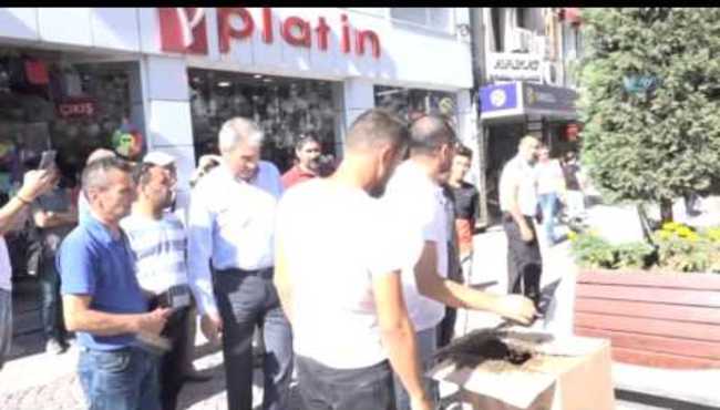 Balıkesir sokaklarını onbinlerce arı bastı!