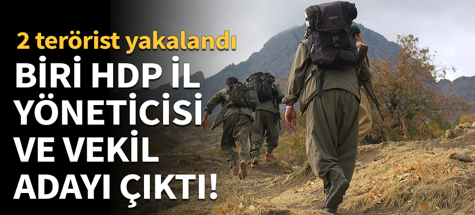 Biri HDP il yöneticisi ve milletvekili adayı!