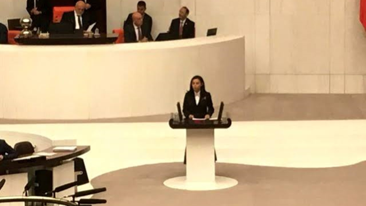 İstanbul'da AK Partili Milletvekili Pervin Tuba Durgut: “Türkçe ne yazık ki yozlaştırıldı"