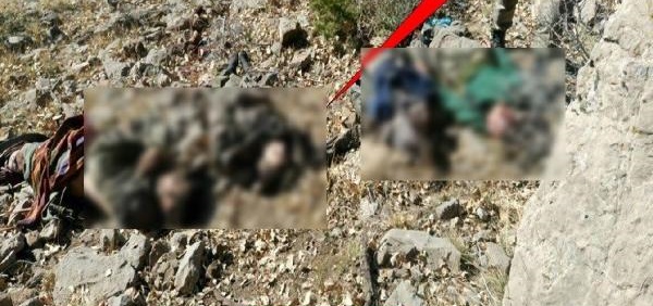 TSK az önce fotoğraflarını yayınladı: Öldürüldüler!