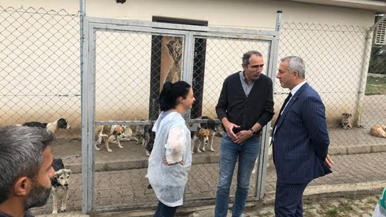 Sakarya'da Başkan Turgut Babaoğlu, hayvan barınağında incelemelerde bulundu