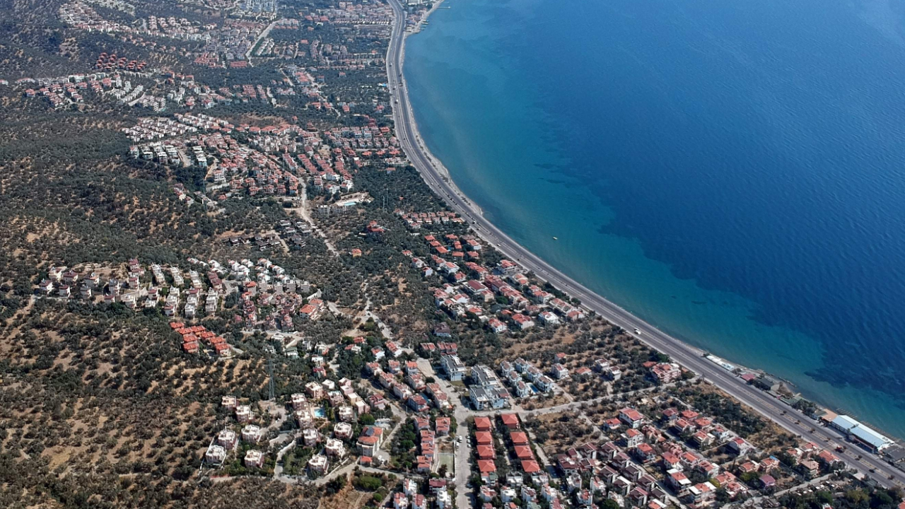 Kazdağları'nda villa için 2,5 milyon zeytin ağacını kestiler!