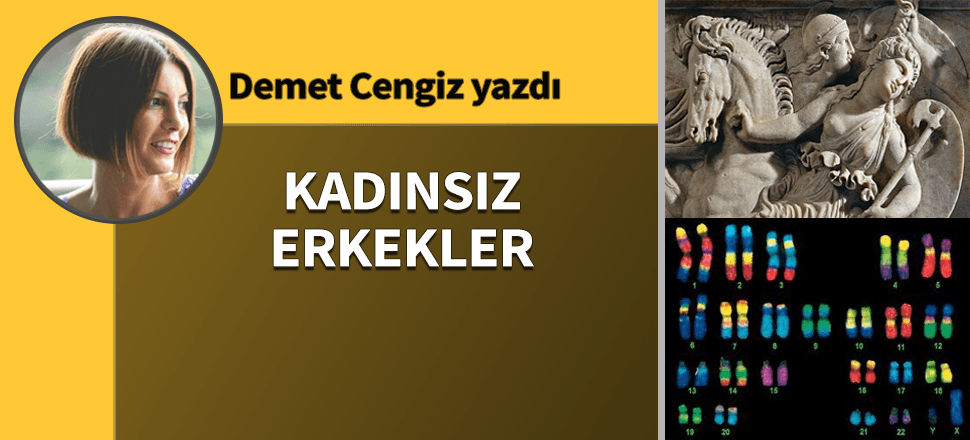 Kadınsız erkekler