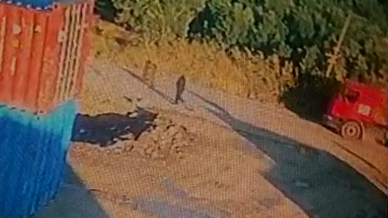 TIR'ına binmek isterken arabanın altında kaldı!