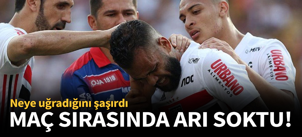 Eşek arısı istilası!